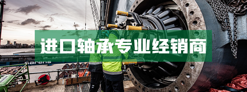 玖动(上海)轴承有限公司